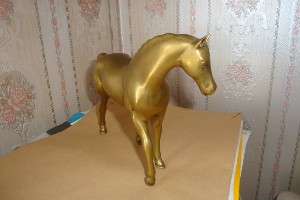 Annonce Cheval en brouze