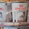 Chien royal canin hepatic pas cher