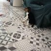 Chienne beagle de 4 mois pas cher