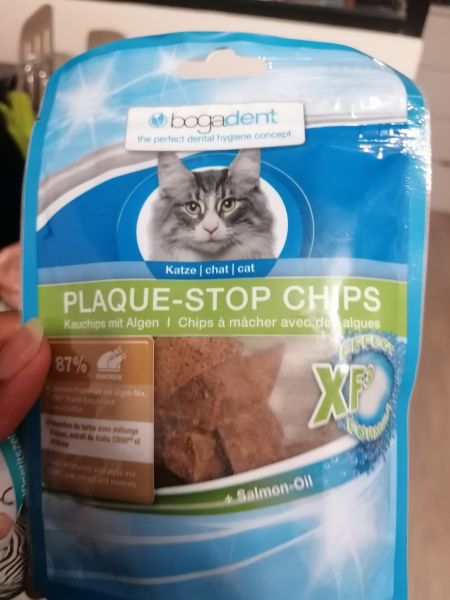 Chips pour dents chats pas cher