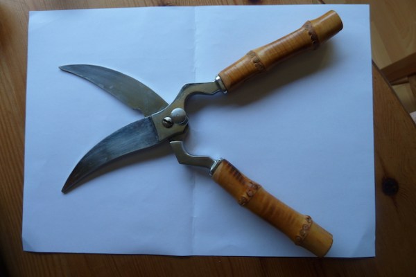 Ciseaux &agrave; volaille