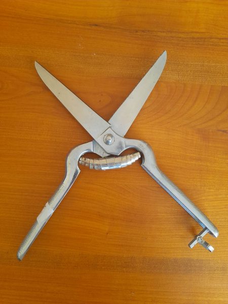 Vente Ciseaux à volailles 29 cm