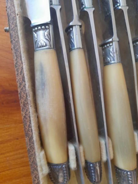 Coffret 12 couteaux de table apollo pas cher