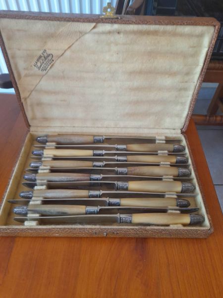 Coffret 12 couteaux de table apollo