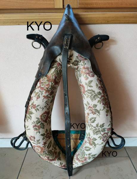 Collier de cheval, tour de cou - d&eacute;coration