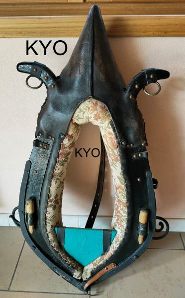 Annonce Collier de cheval, tour de cou - d&eacute;coration