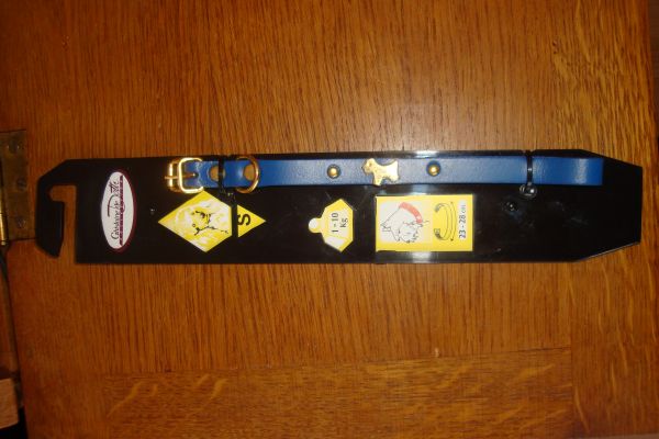Collier en cuir taille s pour chien