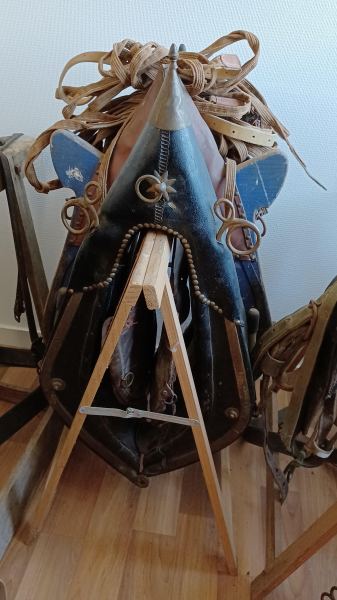 Colliers cheval et sellerie
