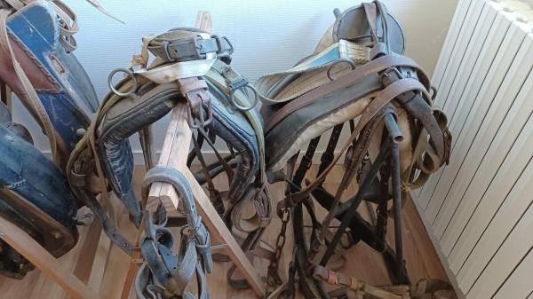 Vente Colliers cheval et sellerie