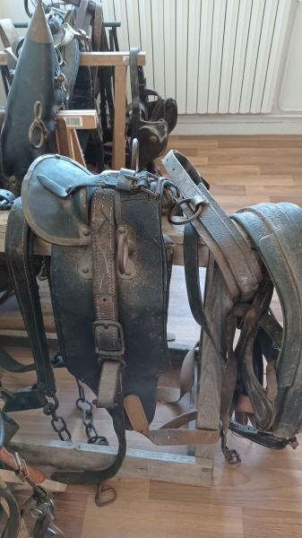 Colliers cheval et sellerie pas cher