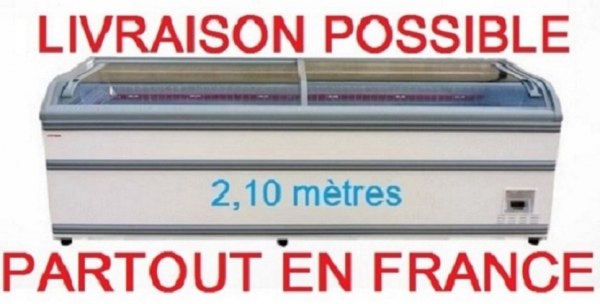 Vente Cong&eacute;lateur magasin