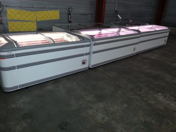 Vente Cong&eacute;lateur professionnel