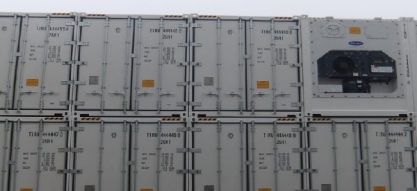Container frigorifique 5450 € pas cher