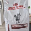 Vente Croquette chat royal canin gastrointestinales
