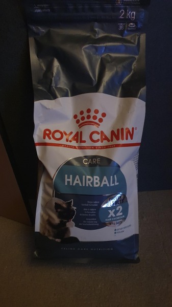Croquette royal canin chat