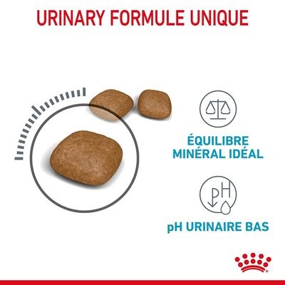 Croquette royal canin urinary care(10kg) pas cher