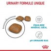 Annonce Croquette royal canin urinary care(10kg)
