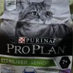 Croquettes chat proplan
