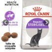 Annonce Croquettes chat stérilisé royal canin