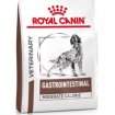 Croquettes chien royal canin gastro intestinal