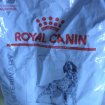 Croquettes gastrointestinal royal canin pas cher