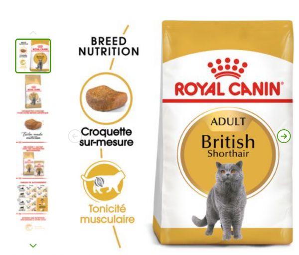 Croquettes pour chat royal canin british shorthair