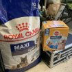 Annonce Croquettes royal canin