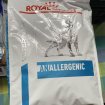 Croquettes royal canin anallergenic 8kg chien