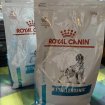 Vente Croquettes royal canin anallergenic chien 3 kg