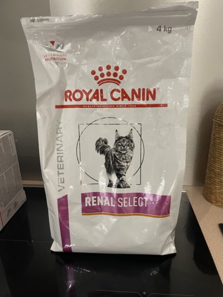 Croquettes royal canin chat renal