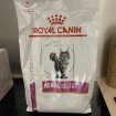 Croquettes royal canin chat renal