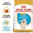 Croquettes royal canin golden retriever chiot 12kg