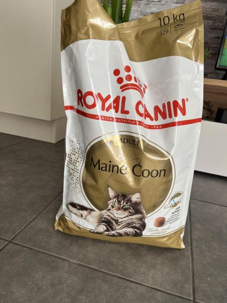 Vente Croquettes royal canin maine coon