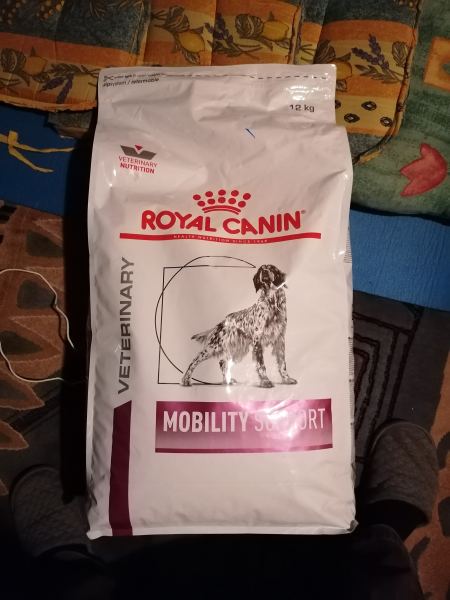 Croquettes royal canin mobility 12 kg pour chien