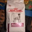 Vente Croquettes royal canin mobility 12 kg pour chien