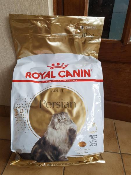 Croquettes royal canin persan