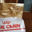 Croquettes royal canin persan pas cher