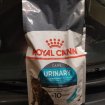 Croquettes royal canin urinary care