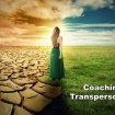 Découvrez une approche unique de coaching