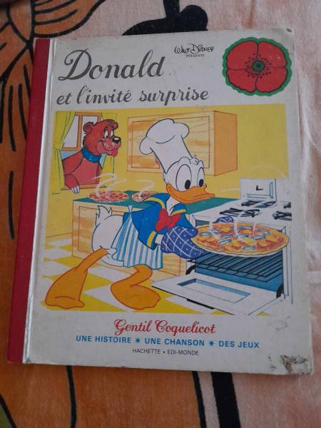 Donald et l'invité surprise