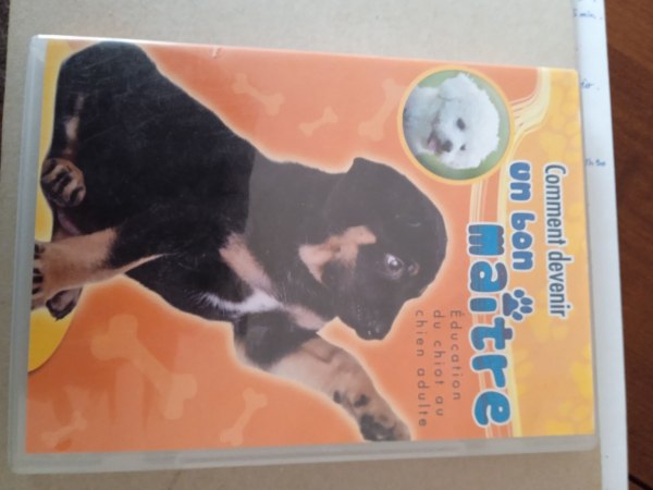 Dvd "comment devenir un bon maitre"