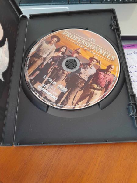 Vente Dvd " les professinnels "
