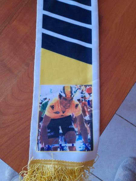 Annonce Echarpe cyclisme sport collection bernard hinault