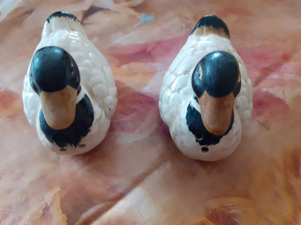 Ensemble sel et poivre canard