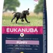 Eukanuba puppy large breed poulet pour chiot