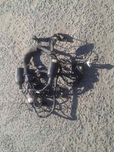 Annonce Faisceau éléctrique triumph 900 tiger 1998