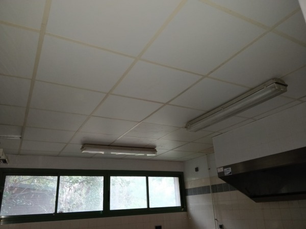 Faux plafond 60x60 hygi&egrave;ne lavable