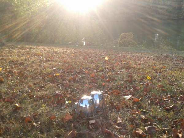 Fonds de compteur honda 600 hornet 2004