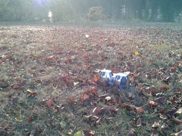 Vente Fonds de compteur honda 600 hornet 2004