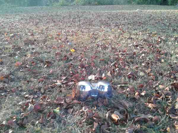 Fonds de compteur honda 600 hornet 2004 pas cher